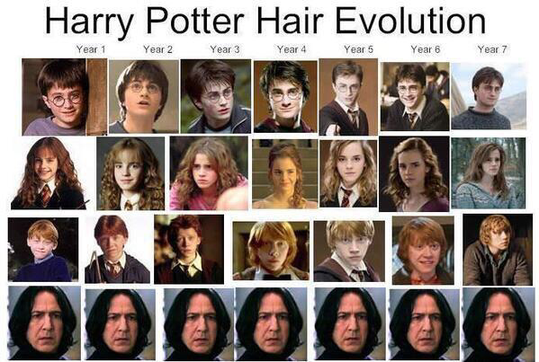 Герои гарри поттера список персонажей с фото Harry Potter meme Fandom