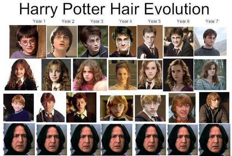 Harry Potter Memes Part 6 