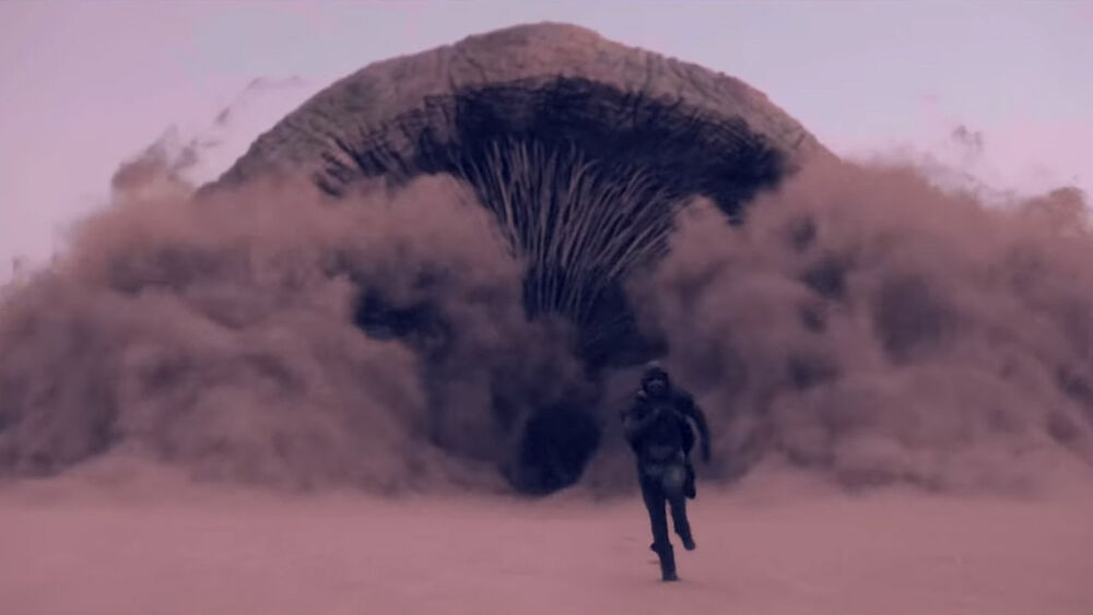 Dune's Sandworms Have a Lot in Common With Real-Life Worms and It's  Jaw-Dropping