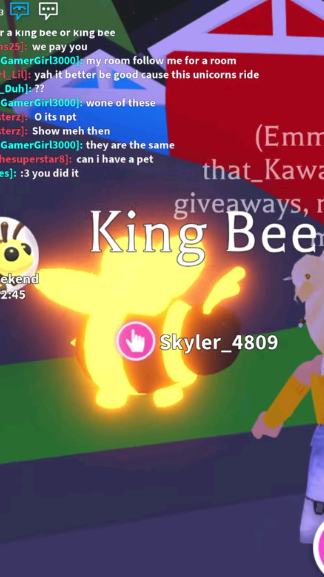 King Bee Neon Pets