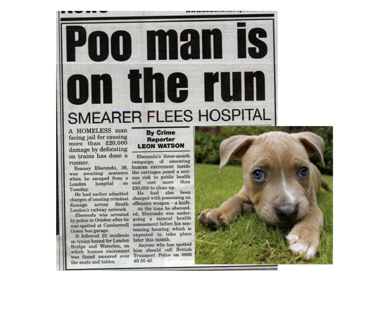 Poo man is on the run