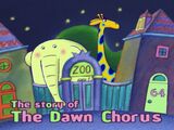The Story of the Dawn Chorus