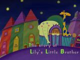 The Story of Lily's Little Brother