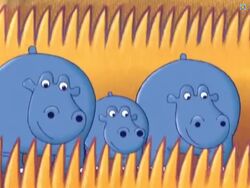 Hippos