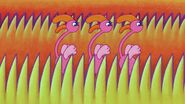 Another Image of Flamingos.jpg (357 KB) ...Lane
