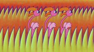 Flamingos in Adobe Flash