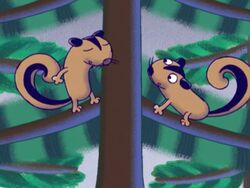 Chipmunks