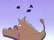 Ep 26 11.jpg (232 KB) Herbert and his flies