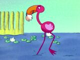 Maribelle the Flamingo