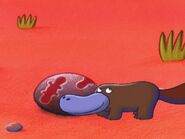 Mr. Platypus
