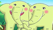 Unnamed elephant calves