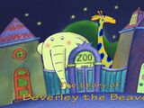 The Story of Beverly the Beaver