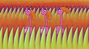 Flash Flamingos.jpg (358 KB) 64...