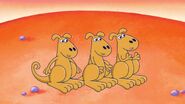 Janice's Triplets