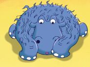 Henrietta in the desert.