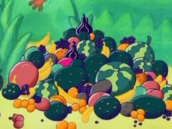 Fruits