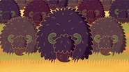 Bison Herd.jpg (281 KB) And woolly