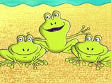 The Frog Chorus