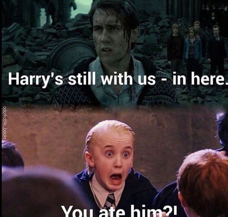 Harry Potter Memes For Fans Of The Books And The Movies - Memebase - Funny  Memes