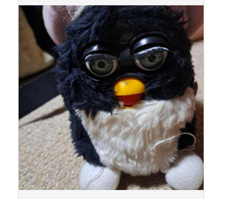 Fandom Image