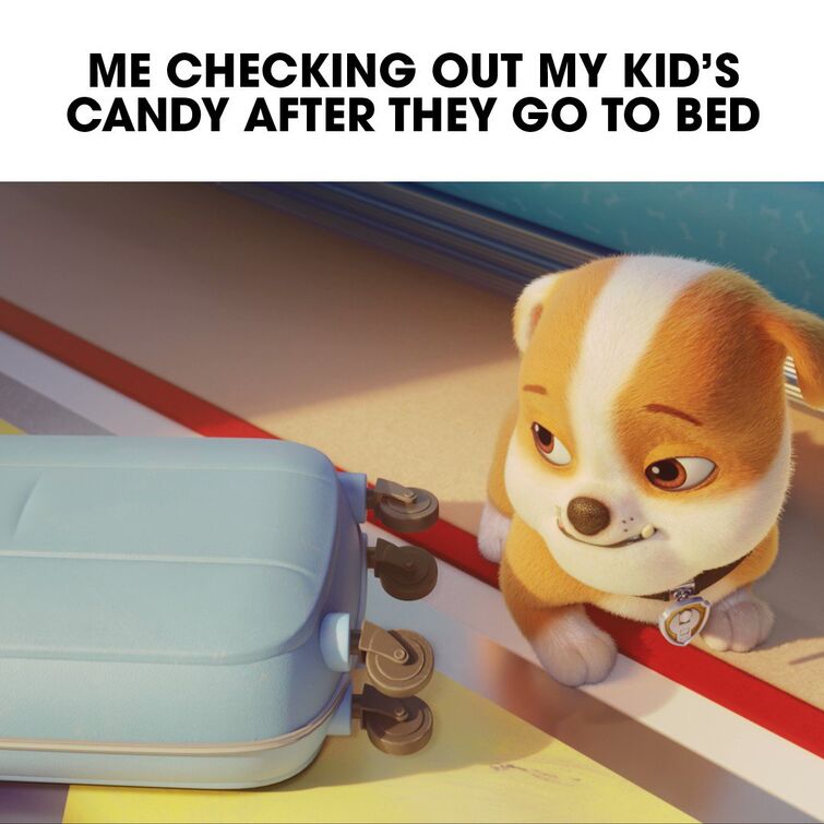 Paw Patrol memes go brrrrr | Fandom