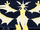 EmeraldNecrozma