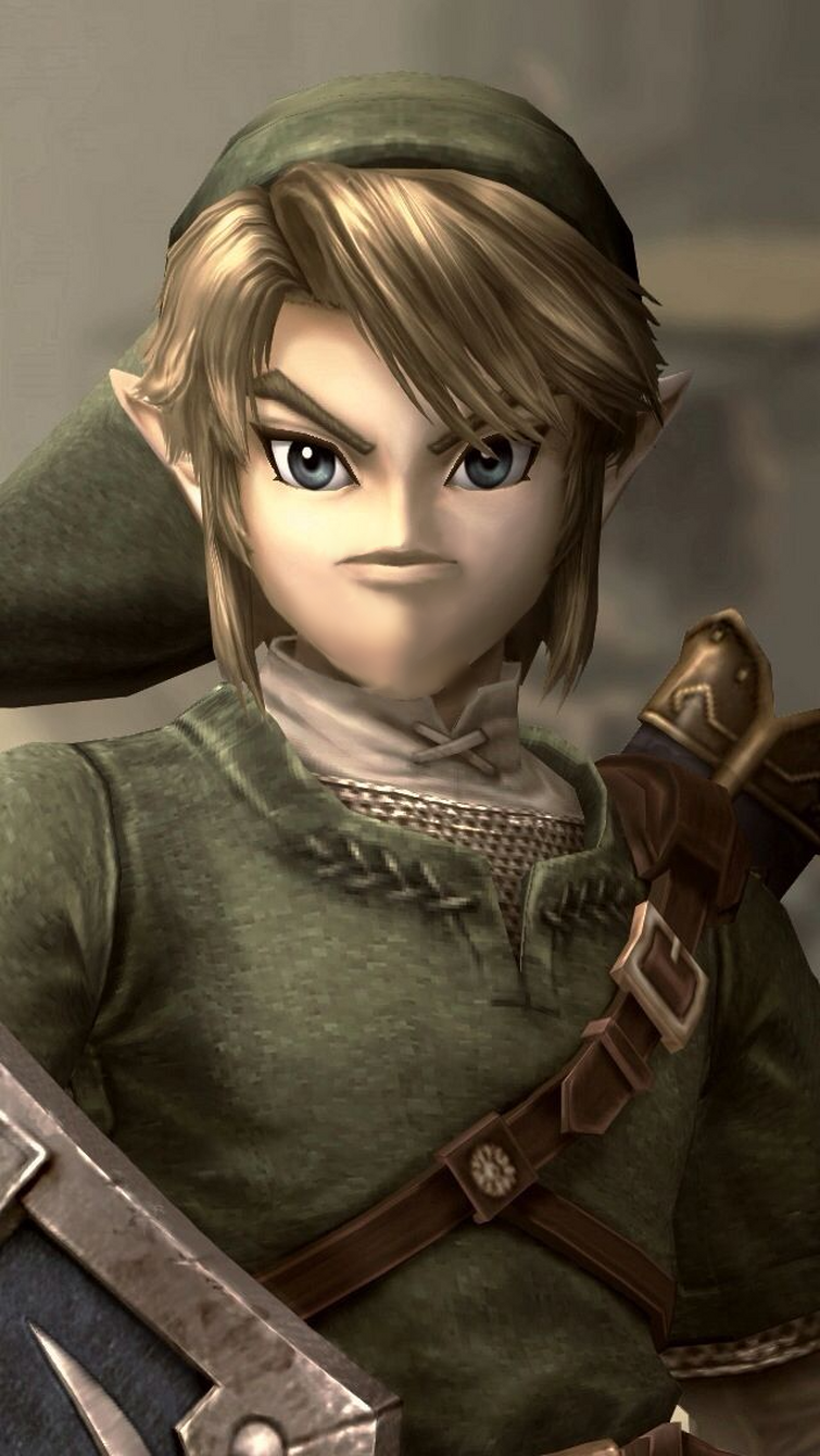 Princess link. Линк Twilight Princess. Zelda Эльф. The Legend of Zelda Twilight Princess. Линк и Зельда Twilight.