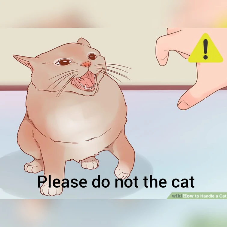 Please do not the cat Fandom