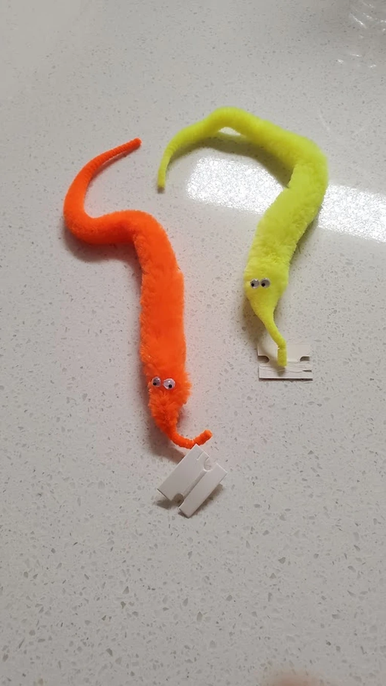 worm on a string (tw bright colors) Fandom