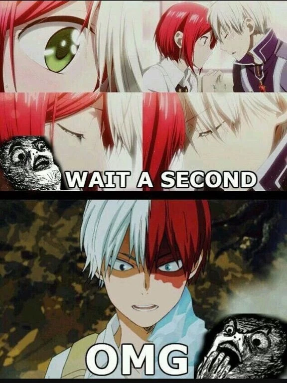 I saw someone else do it so I wanna try, memes! | Fandom