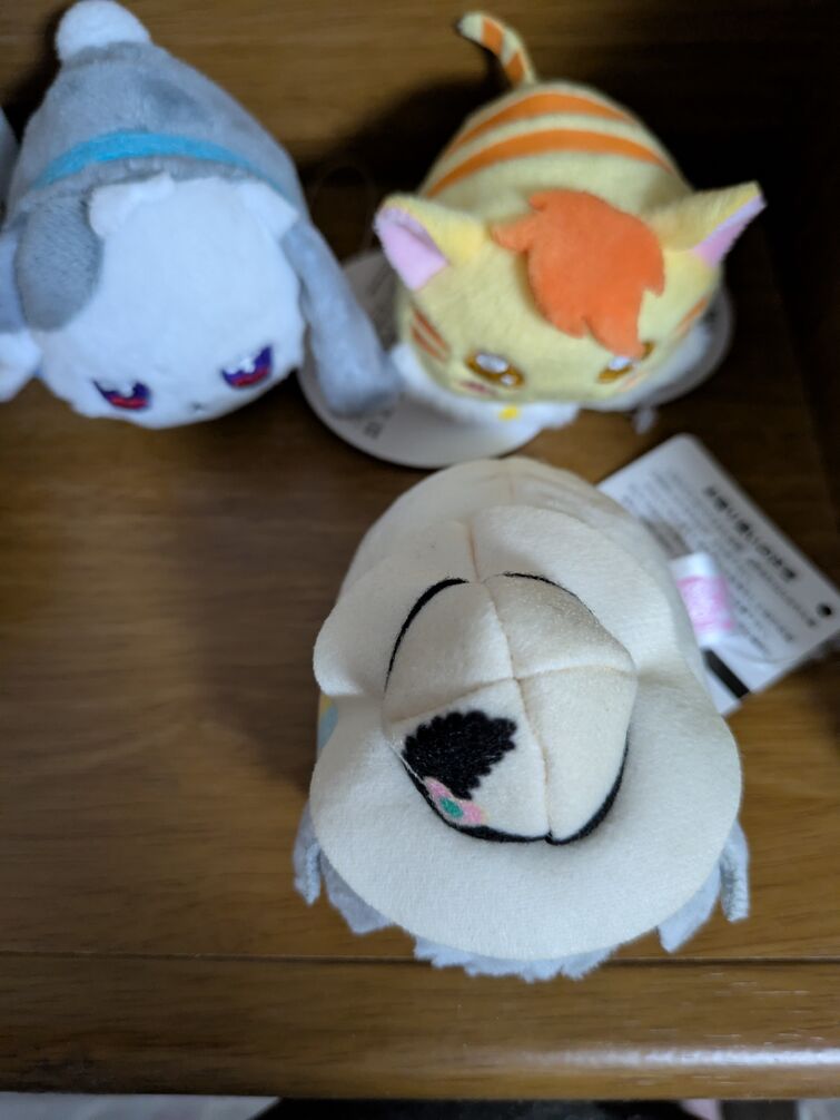 Fandom Image