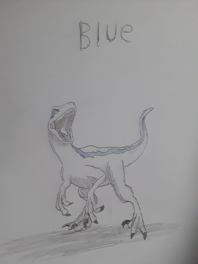 Blue Drawing Fandom