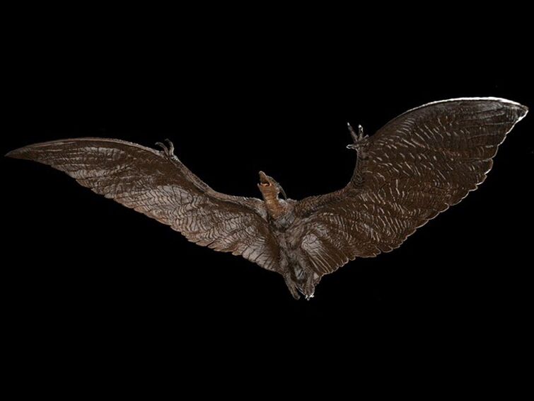Rodan 2019 Legendary Sounds Part 3