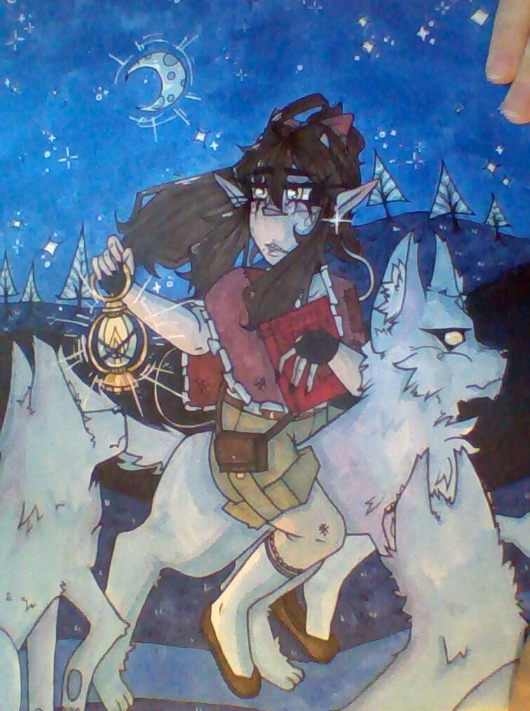 Fandom Image