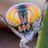 Аватар Maratus volans