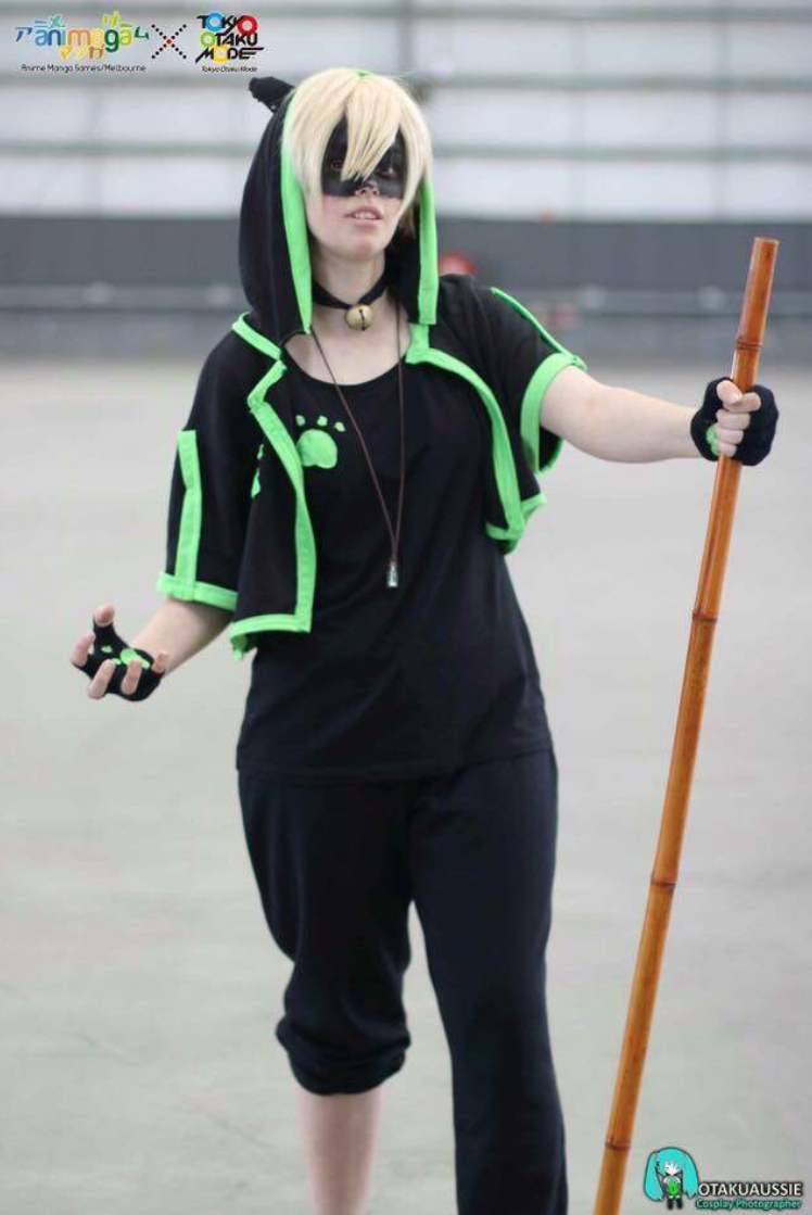 Chat Noir Costume Help Fandom