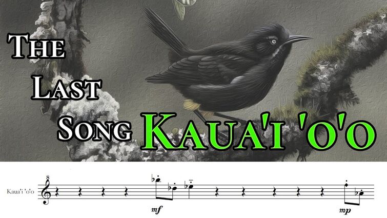 Kuahi Alone Lyrics