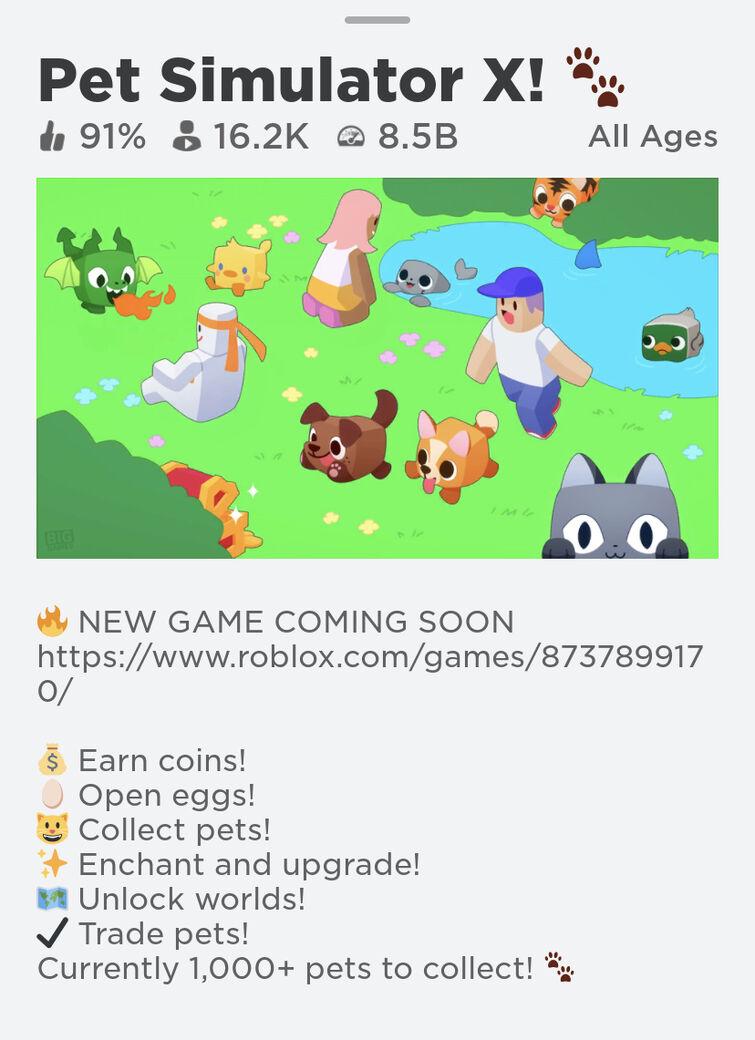 A *NEW* Pet Simulator Game Releasing VERY Soon???? 