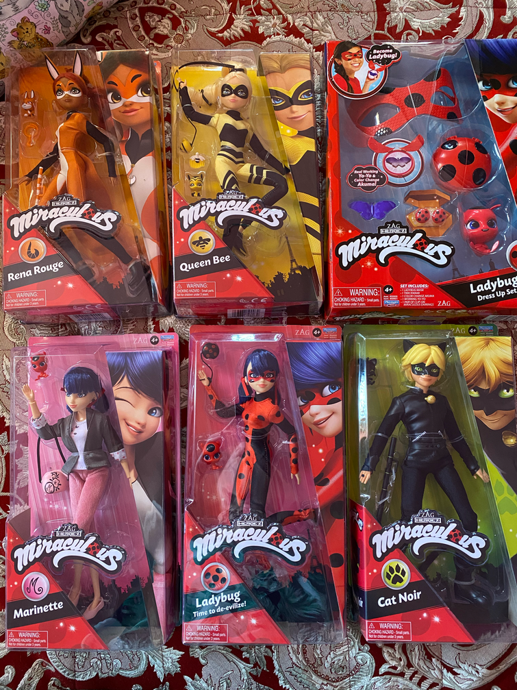 Miraculous Ladybug and Cat Noir doll set 2020  Miraculous ladybug toys,  Ladybug, Miraculous ladybug