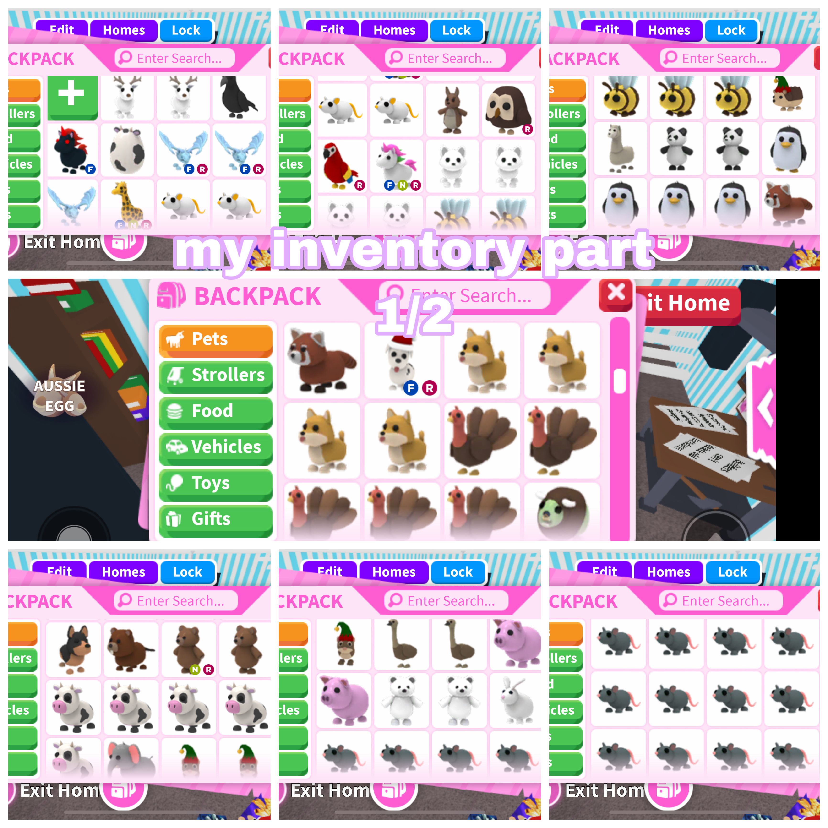 Lf Missing Pets Fandom - roblox adopt me inventory empty pink