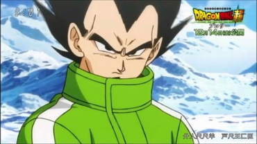 Vegeta Dragon Ball Super: Broly Coat