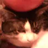 The Tomato Watcher's avatar