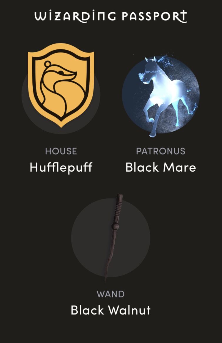 My Wizarding passport Fandom