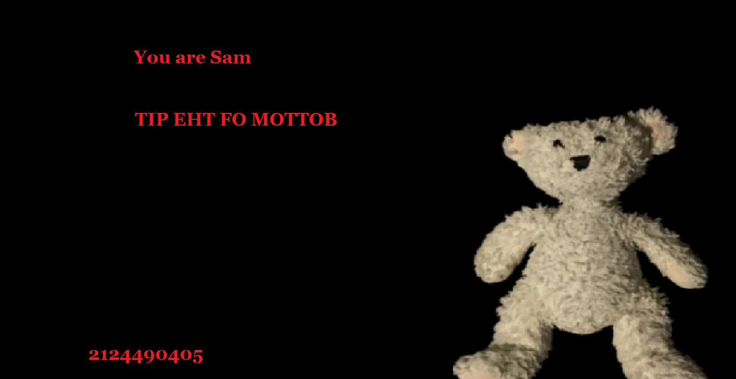 Bear Sam Roblox