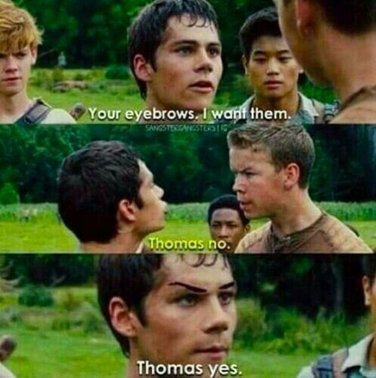 Things get heated between Thomas and Gally [The Maze Runner] 