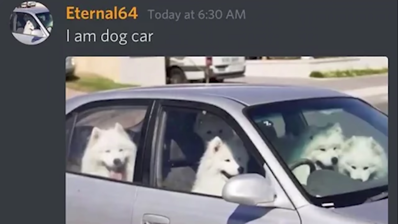 Dog car | Fandom