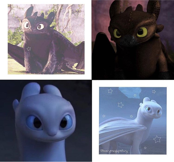 Toothless!! How train your dragon, How to train dragon, How to train your dragon