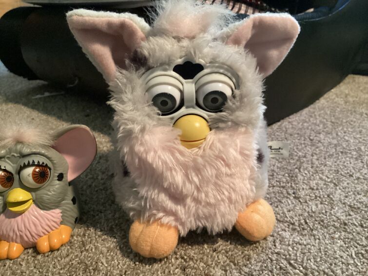 Fandom Image