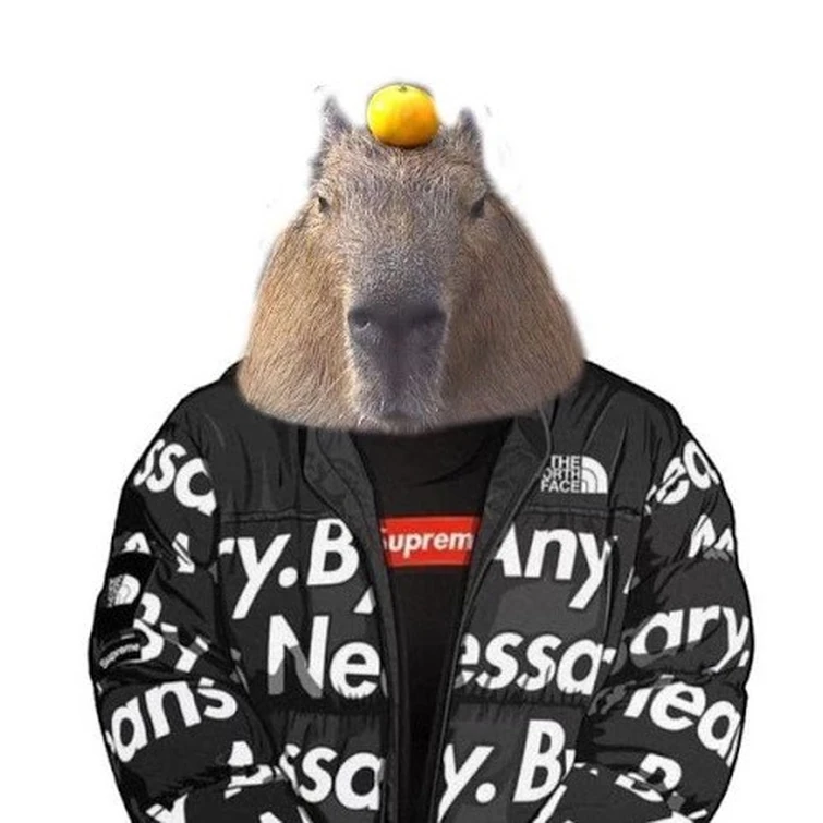 Discuss Everything About Adopt Me! Wiki Fandom