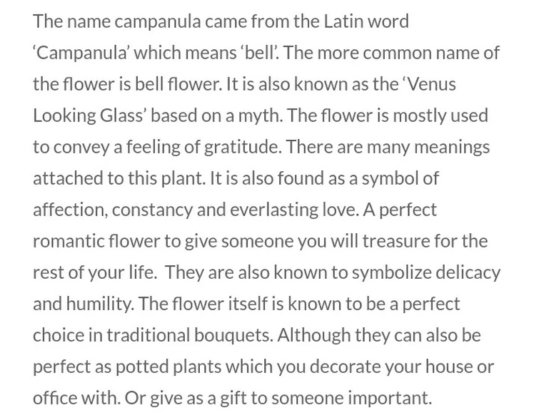 AOT Blue Flowers Fandom